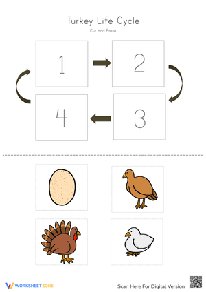 Turkey Life Cycle - Cut and Paste Activity 1