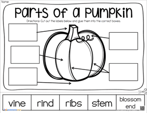 Parts of a pumpkin