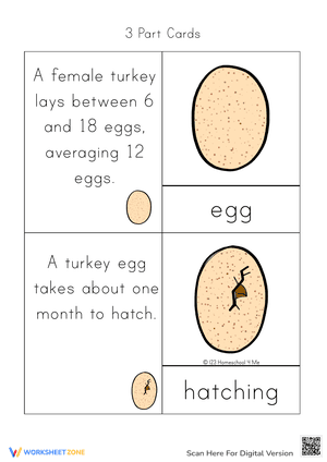 Information Turkey Cards