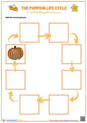 Pumpkin Life Cycle Worksheet