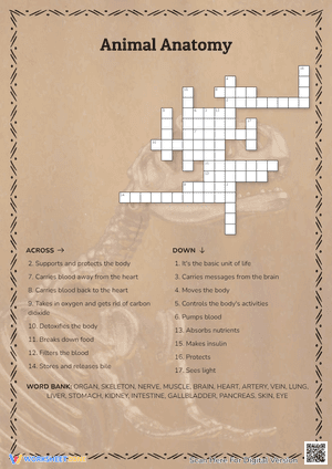Animal Anatomy Crossword Puzzle