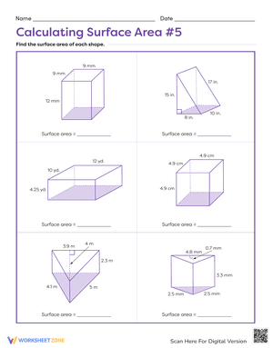 Calculating Surface Area #5