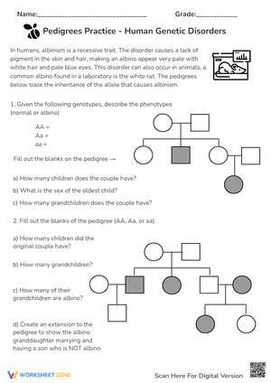 Pedigrees Practice - Human Genetic Disorders Worksheets