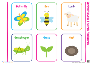 Spring Pictures and Words Flashcards 2