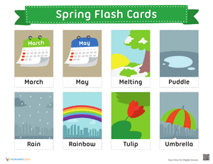 Spring Flash Cards 2