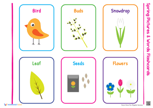 Spring Pictures and Words Flashcards 1
