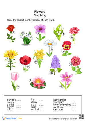 Flowers Matching worksheet