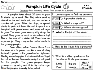 Reading Comprehension Passage Pumpkin Life Cycle 3
