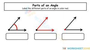 Parts of an Angle