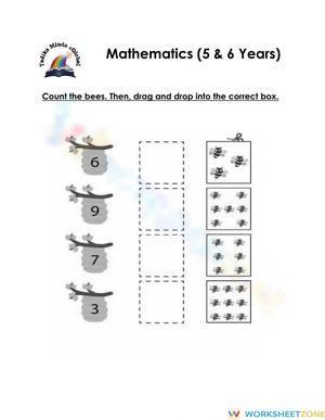 5 & 6 Years: Mathematics (Counting 1)