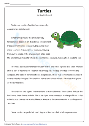 Turtles | Non-fiction