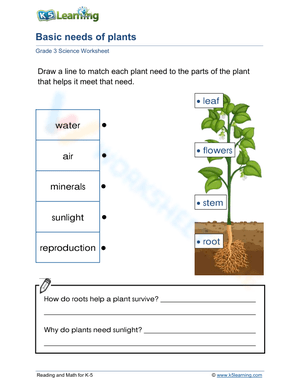 Basic needs of plants