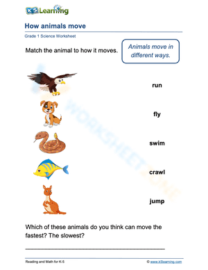 How animals move 1