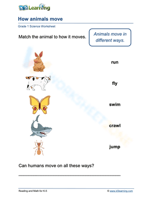 How animals move 2