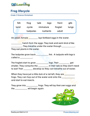 Frog lifecycle 2