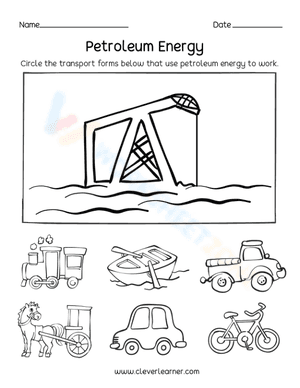 Petroleum Energy