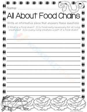 All About Food Chains