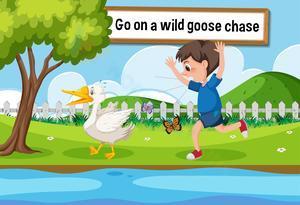 Go on a wild goose chase