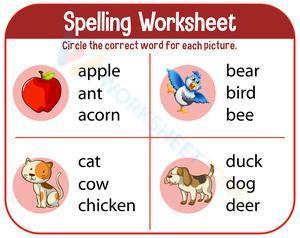 Spelling Worksheet 5