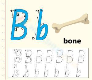 B is for Bone