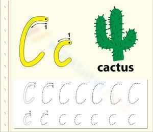 C is for Cactus