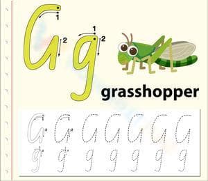 G is for Grasshopper