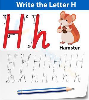 H is for Hamster