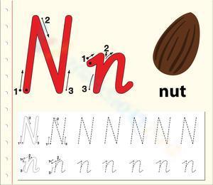 N is for Nut