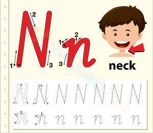 N is for Neck