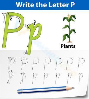 P is for Plants