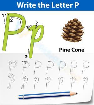 P is for Pine cone