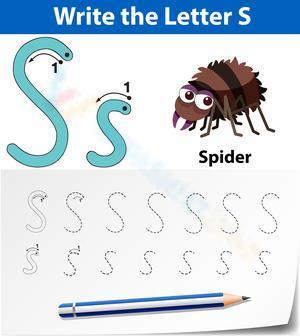 S is for Spider