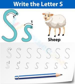 S is for Sheep
