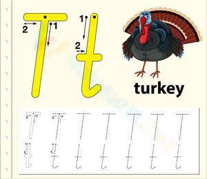 T is for Turkey