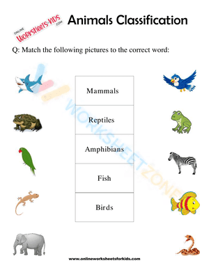 Animals Classification Worksheet For 1st Grade 6