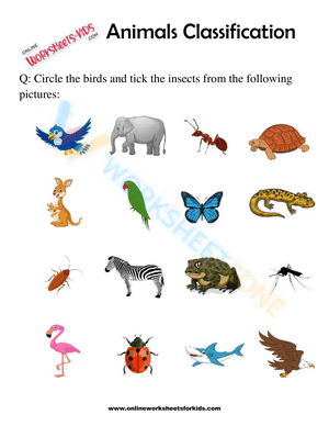 Animals Classification Worksheet For 1st Grade 7