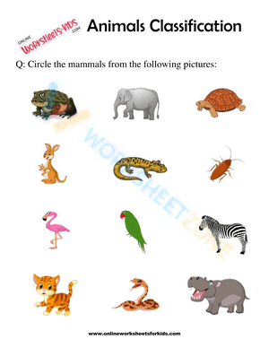 Animals Classification Worksheet For 1st Grade 8
