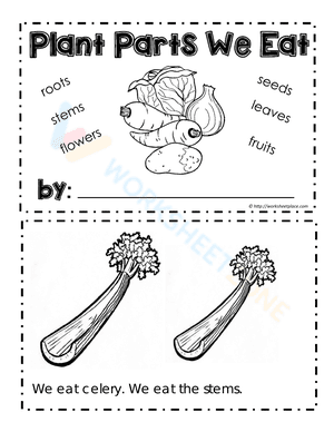 Booklet for Plants we Eat
