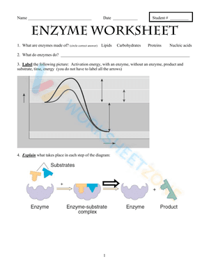 Enzyme Worksheet 2