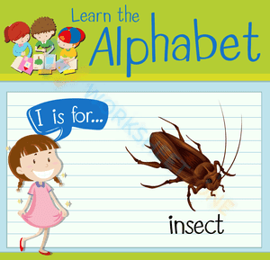 I is for Insect