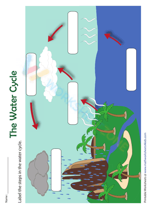 Label the steps in the water cycle