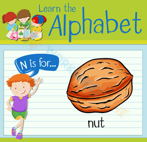 N is for Nut