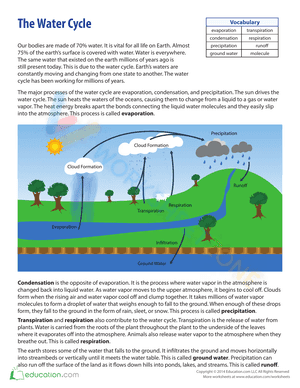 The water cycle 2