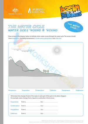 Water cycle worksheet