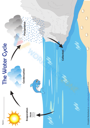 Water Cycle Chart | Four Step Process
