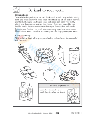 science for 2nd graders 6