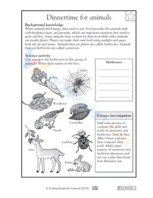 science for 3rd graders 5