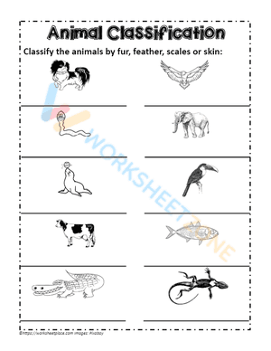 animal classification 8