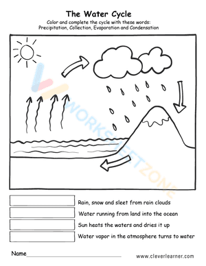 water cycle 4