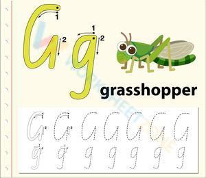 G is for Glasshopper